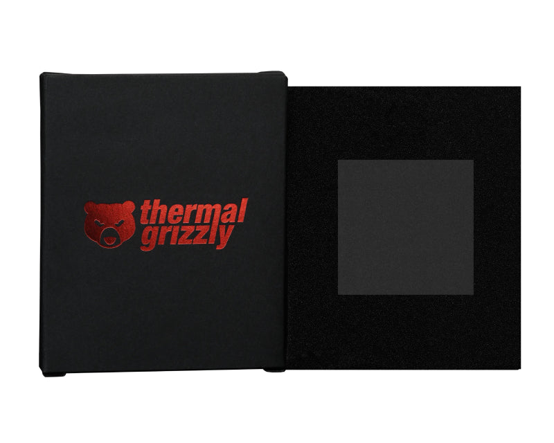 TG Carbonaut 38x38x0,2 mm termal pad (TG-CA-38-38-02-R)