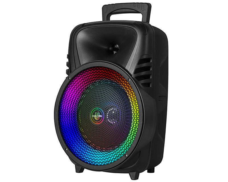 CH-855 Prenosivi Karaoke Bluetooth Zvučnik