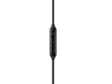 Samsung EO-IC100BBEGEU  žične stereo slušalice Type-C, Black