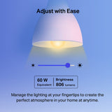 TP-LINK TAPO L530E(2-PACK) Smart Wi-Fi Light Bulb, Multicolor, 60-watt equivalent