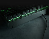 Razer BlackWidow V3 Tenkeyless USB mehanička gejmerska US tastatura Green Switch